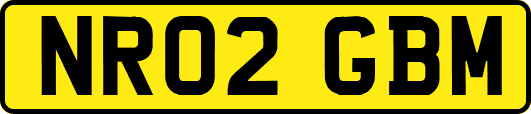 NR02GBM