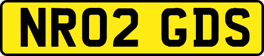 NR02GDS