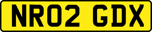 NR02GDX