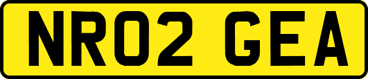 NR02GEA