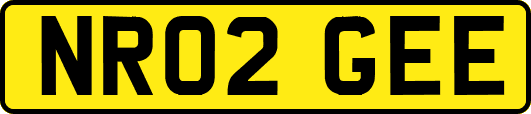 NR02GEE