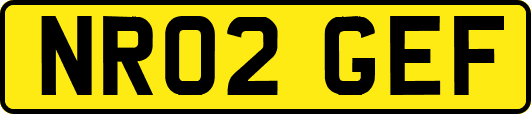 NR02GEF