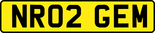 NR02GEM