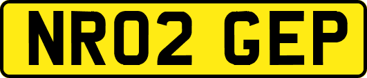 NR02GEP