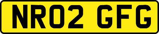 NR02GFG