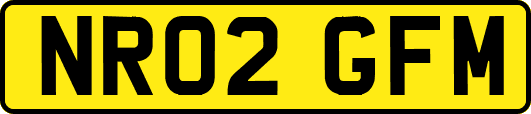 NR02GFM