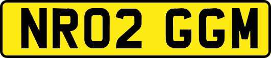 NR02GGM