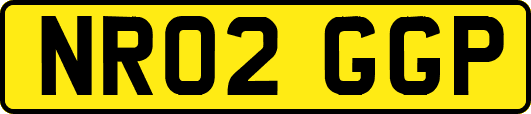 NR02GGP