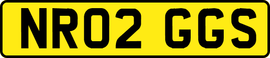 NR02GGS