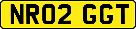 NR02GGT