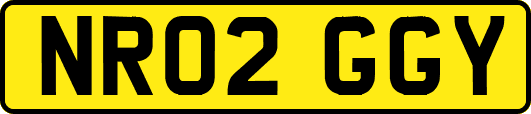 NR02GGY