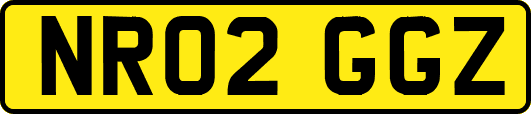 NR02GGZ