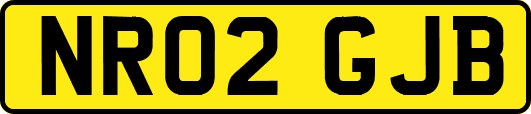 NR02GJB