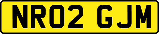 NR02GJM