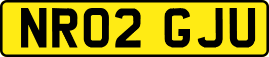 NR02GJU
