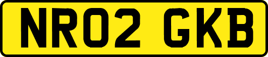 NR02GKB