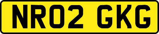 NR02GKG