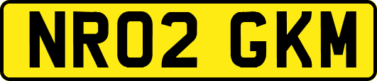 NR02GKM