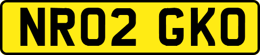 NR02GKO