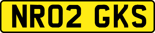 NR02GKS