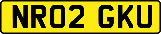 NR02GKU