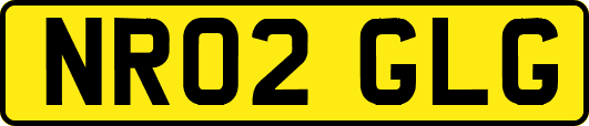 NR02GLG