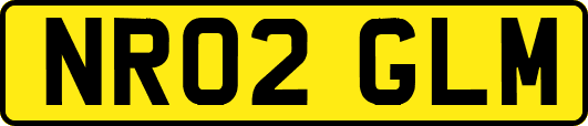 NR02GLM