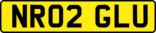 NR02GLU