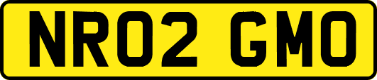 NR02GMO