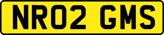 NR02GMS