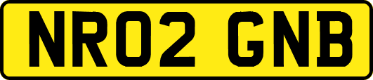 NR02GNB