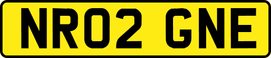 NR02GNE