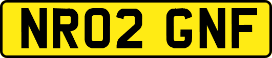 NR02GNF