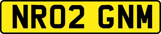 NR02GNM