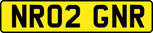 NR02GNR