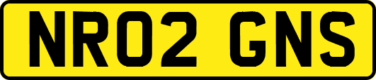 NR02GNS