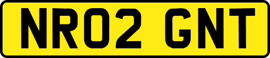 NR02GNT