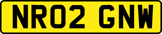 NR02GNW