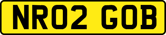 NR02GOB