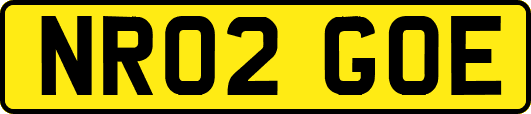 NR02GOE