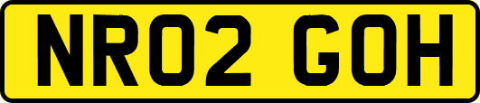 NR02GOH
