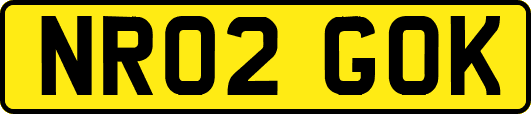 NR02GOK