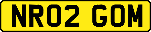 NR02GOM