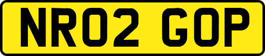 NR02GOP