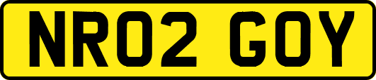 NR02GOY