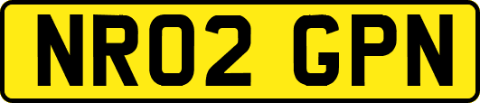 NR02GPN