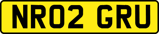NR02GRU