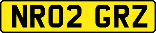 NR02GRZ
