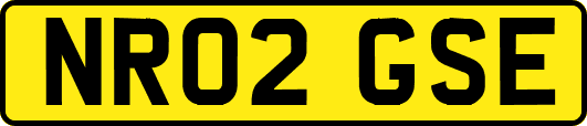 NR02GSE