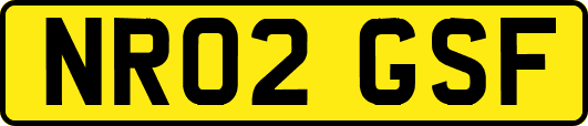NR02GSF
